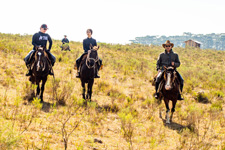 Brazil-Santa Catarina-Gaucho Pampas Trail Brazil